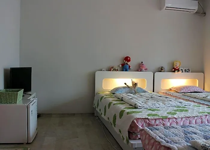 Dasan House Hotel 2*